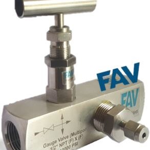 Gauge Valve FxF 10000 psi Female gauge valve