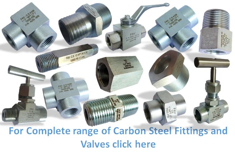 Carbon Steel A105 Check Valve & Manifold Valve