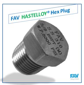 Hastelloy Plug