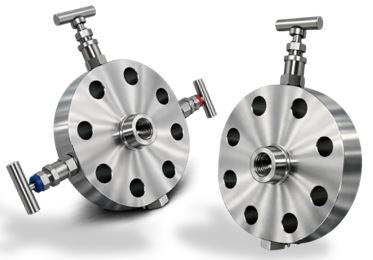 Double Block and Bleed Valves Monoflange Valve