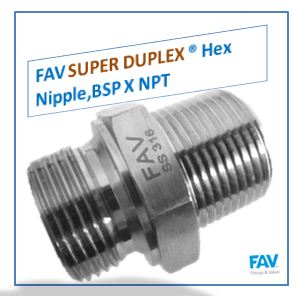 Super Duplex Hex Nipple,BSP X NPT
