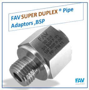 Super Duplex Pipe Adaptors ,BSP