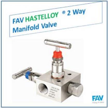 Hastelloy 2 Way Manifold Valves