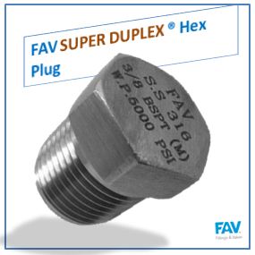 Super Duplex Plug