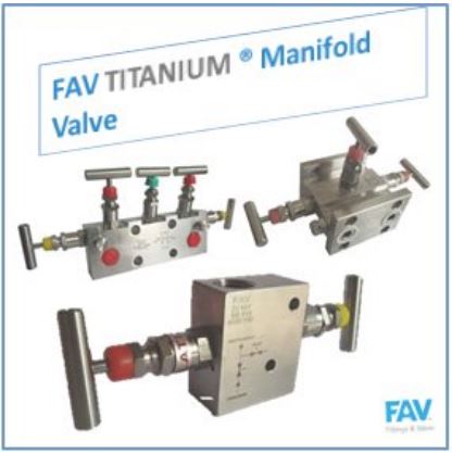 Titanium Manifold Valves
