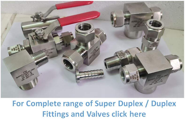 Duplex F53 Tube Fitting and Tube Valve